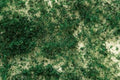 Bachmann Dark Green Foliage 32608