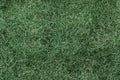 Bachmann Dark Green Foliage Fiber 32633